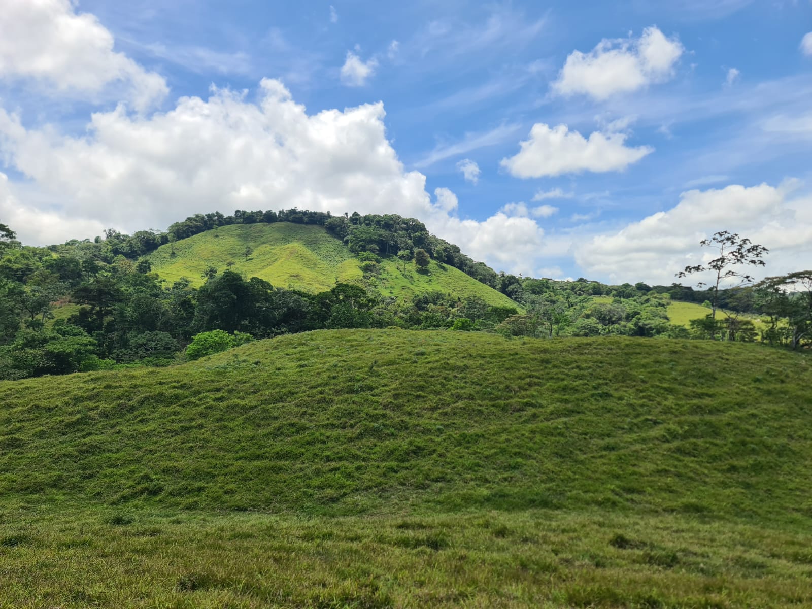 Beautiful 7942 m2 (1,96 acre) Lot Lake View in Nuevo Arenal 