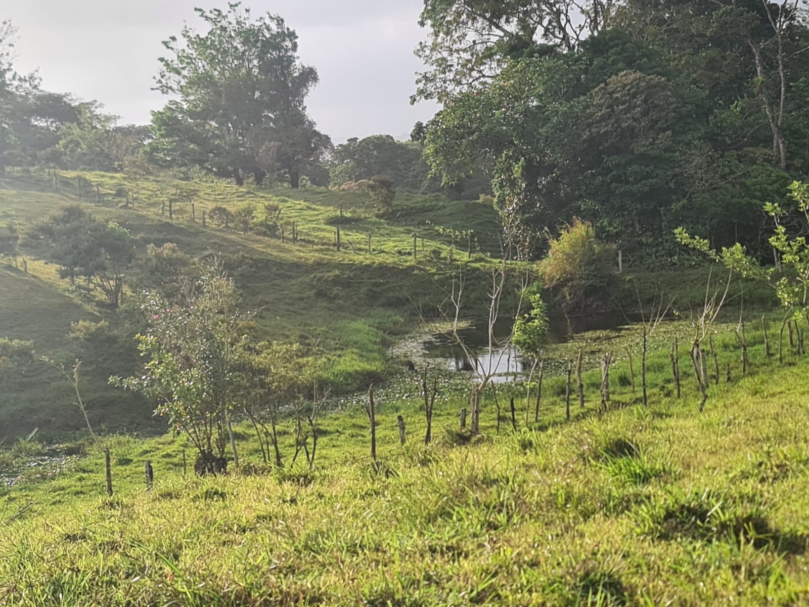 16-Hectare Farm with a Private Well and Views of Lake Arenal in Nuevo Arenal