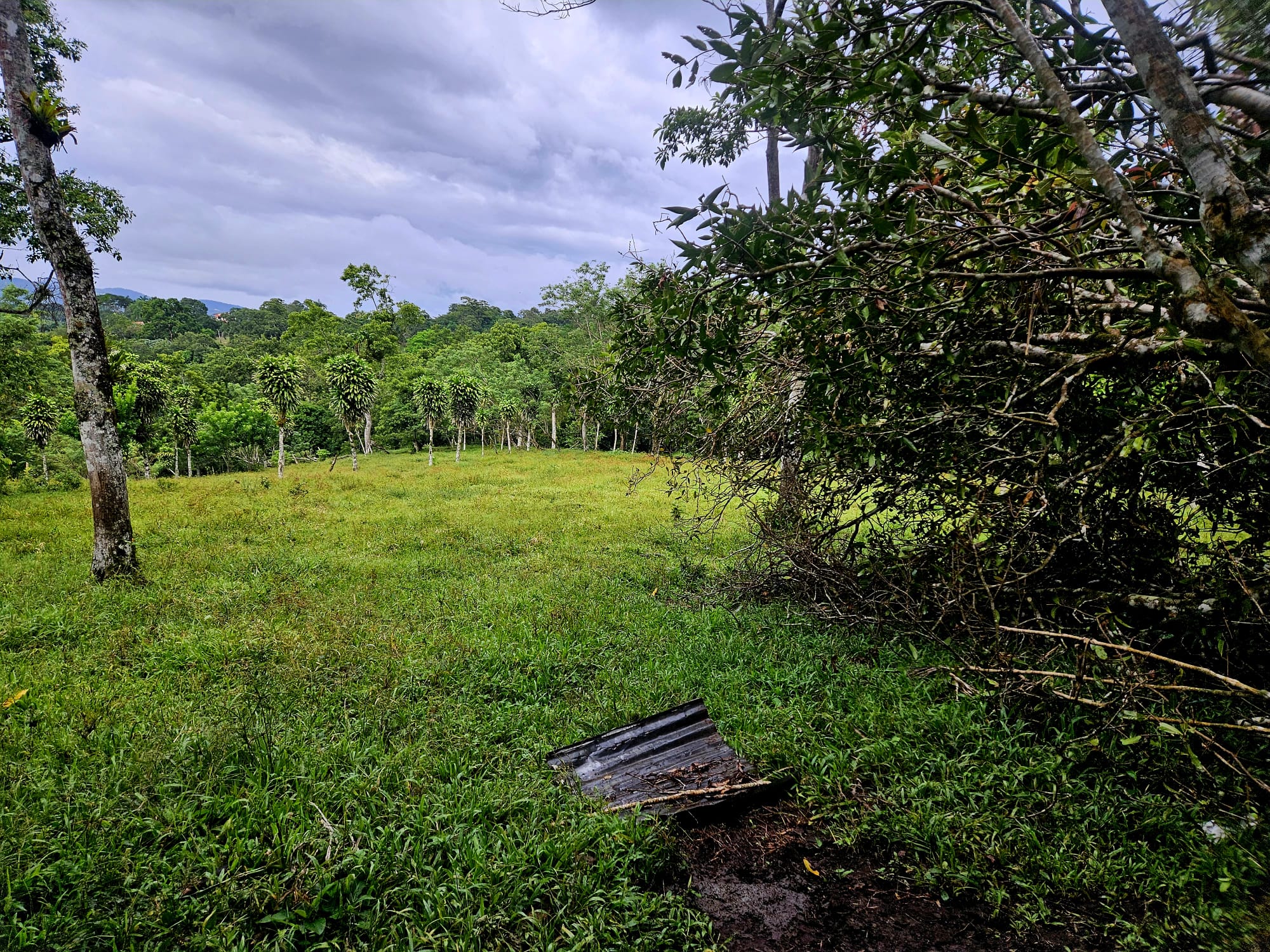 8,737 M2 (2.15 Acre) Lot with View  of Lake Arenal in Tronadora