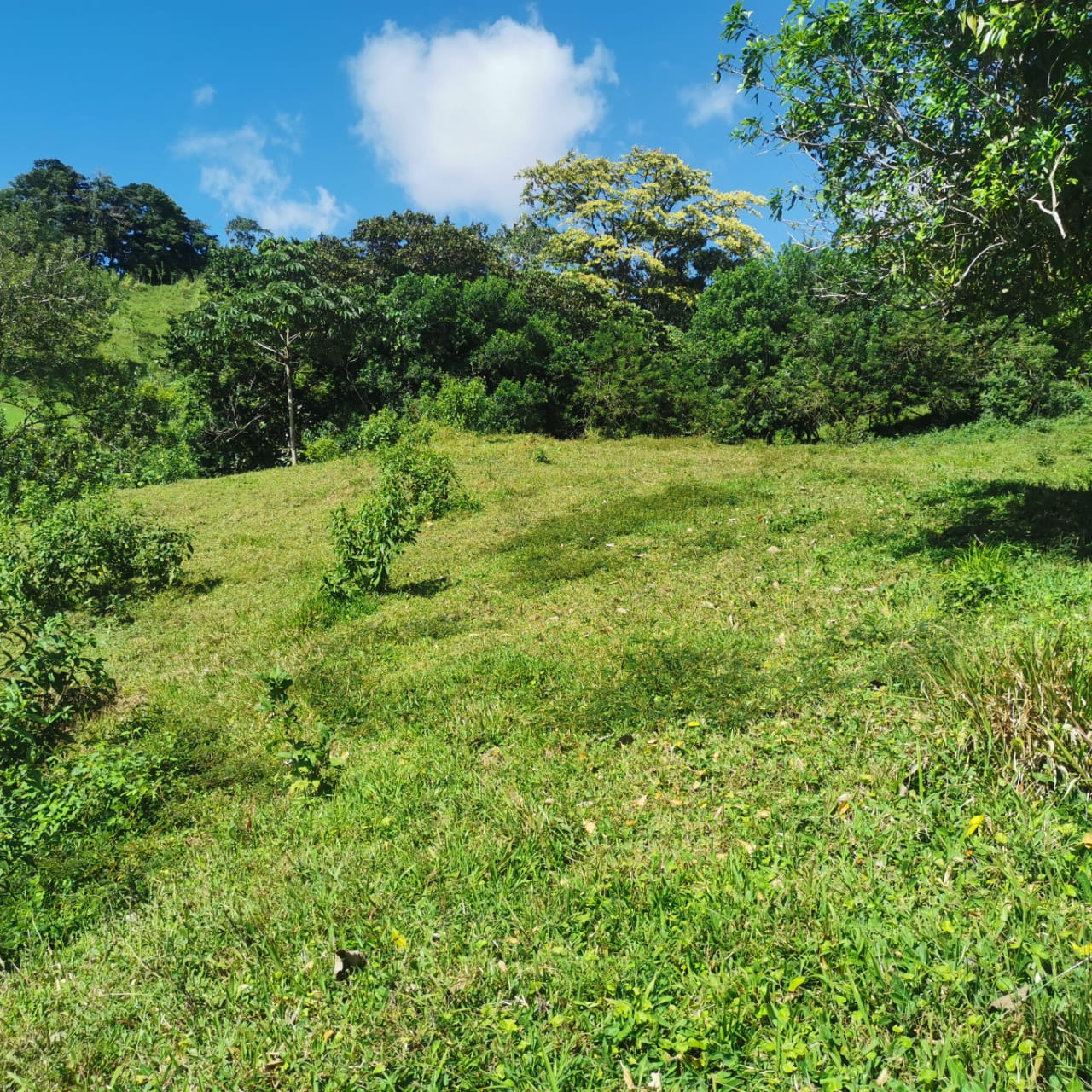 Exceptional 14,445 m² Lot in La Unión, Arenal – Views of Lake Arenal