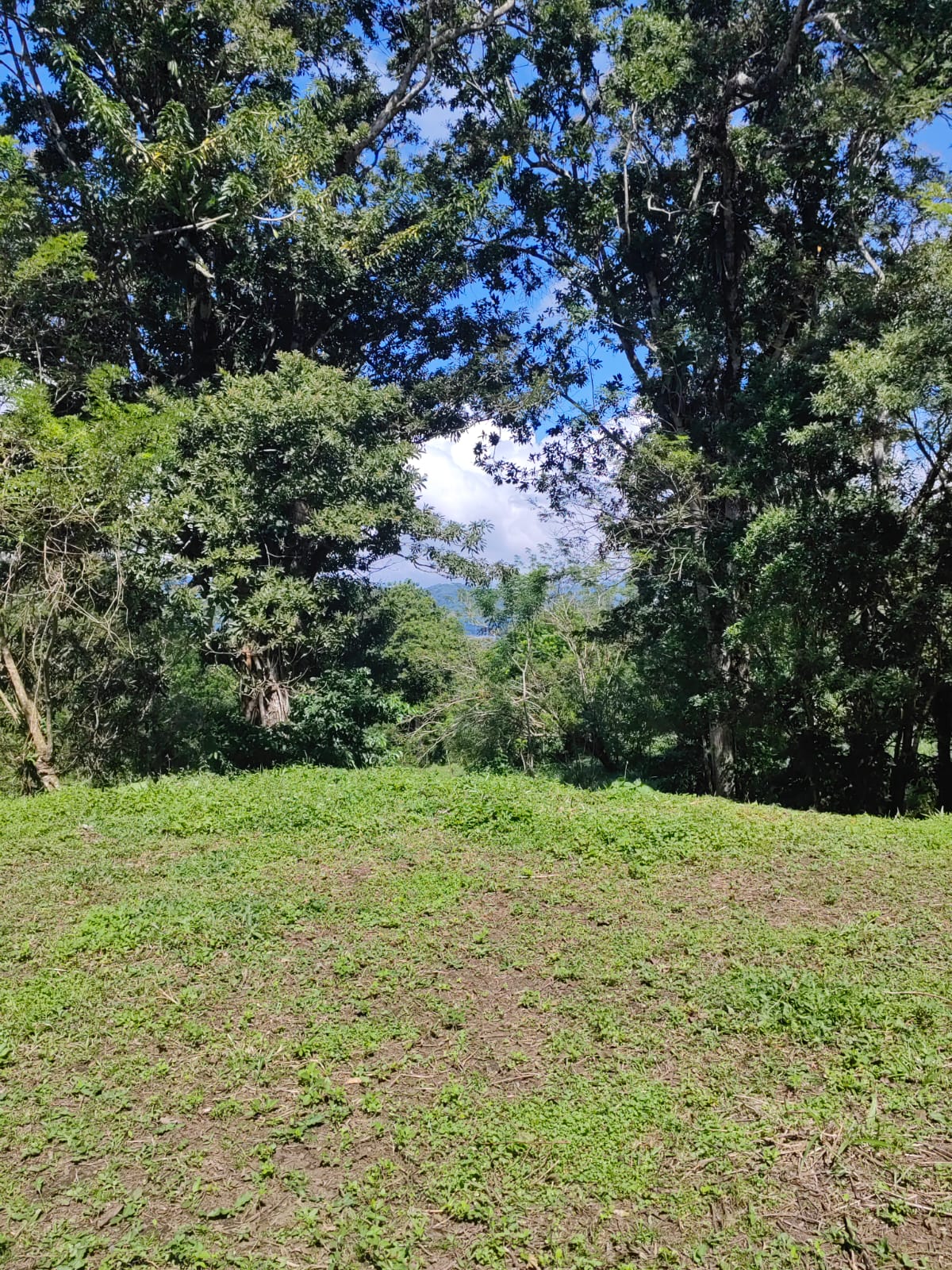 Large Lake view lot of 12,159 square meters in San Luis, Tilarán 