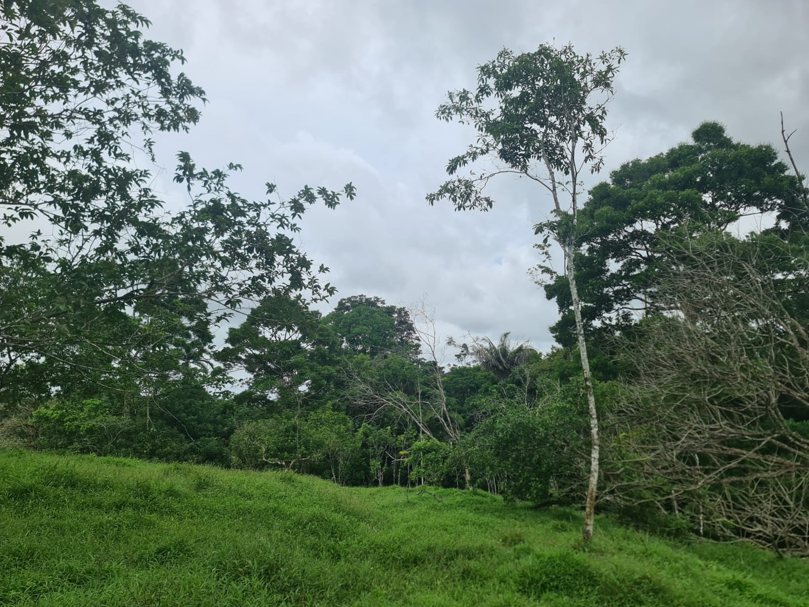 10,500 M2 (2.59 Acres) Lot with a Creek in Río Celeste