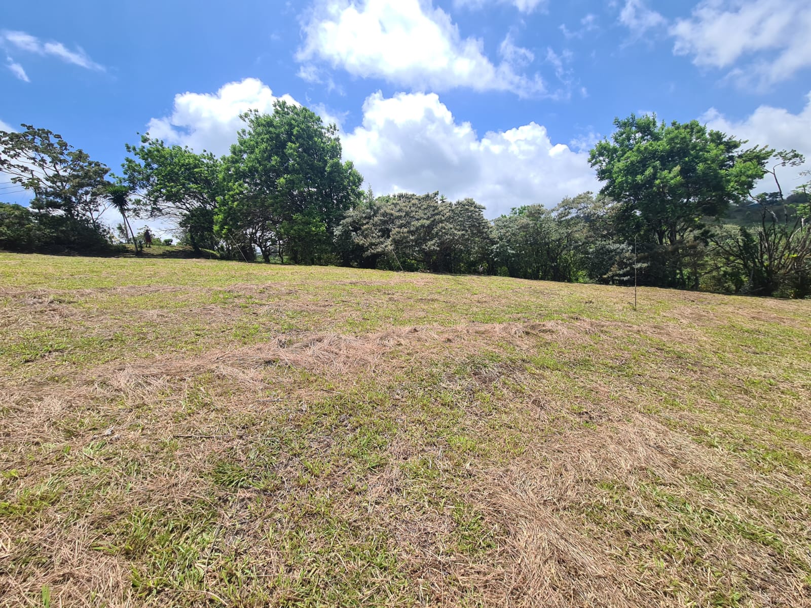 2236 M2 (0,55 acres) Lot with Huge Volcano Views in El Aguacate