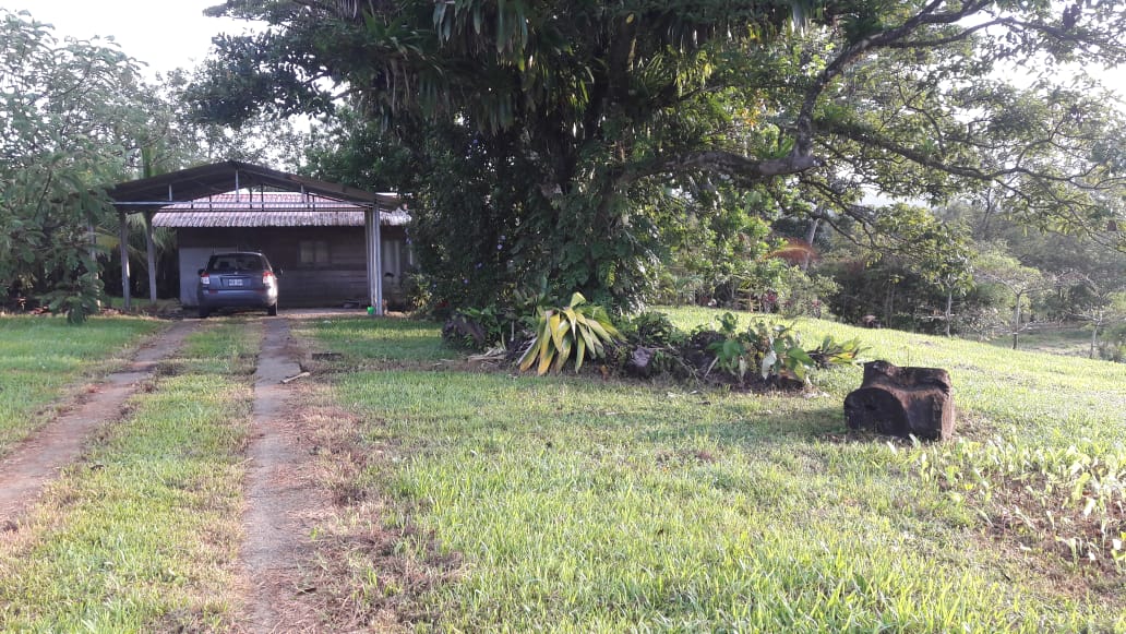 Lovely Studio Cabin on a 5,447 m2 Volcano View lot in Rio Naranjo