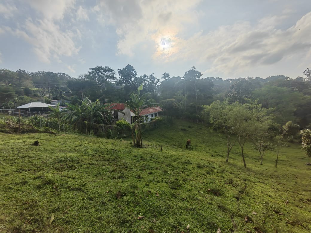 Charming Lot Of 1499 M2 (0.37 Acres) in Tronadora
