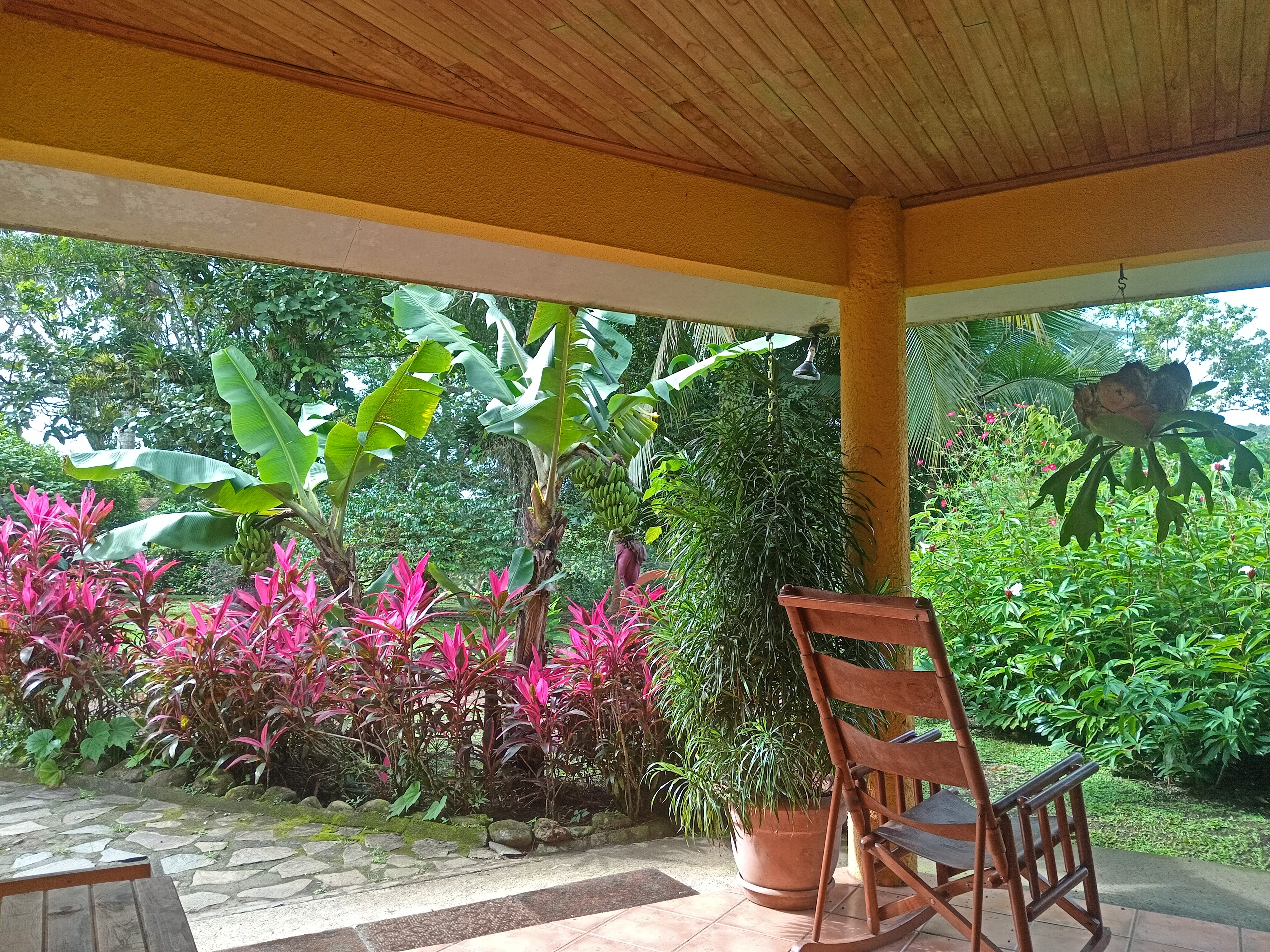 Commercial property: main house + 5 cabins + greenhouse + stable in Cinco Esquinas 