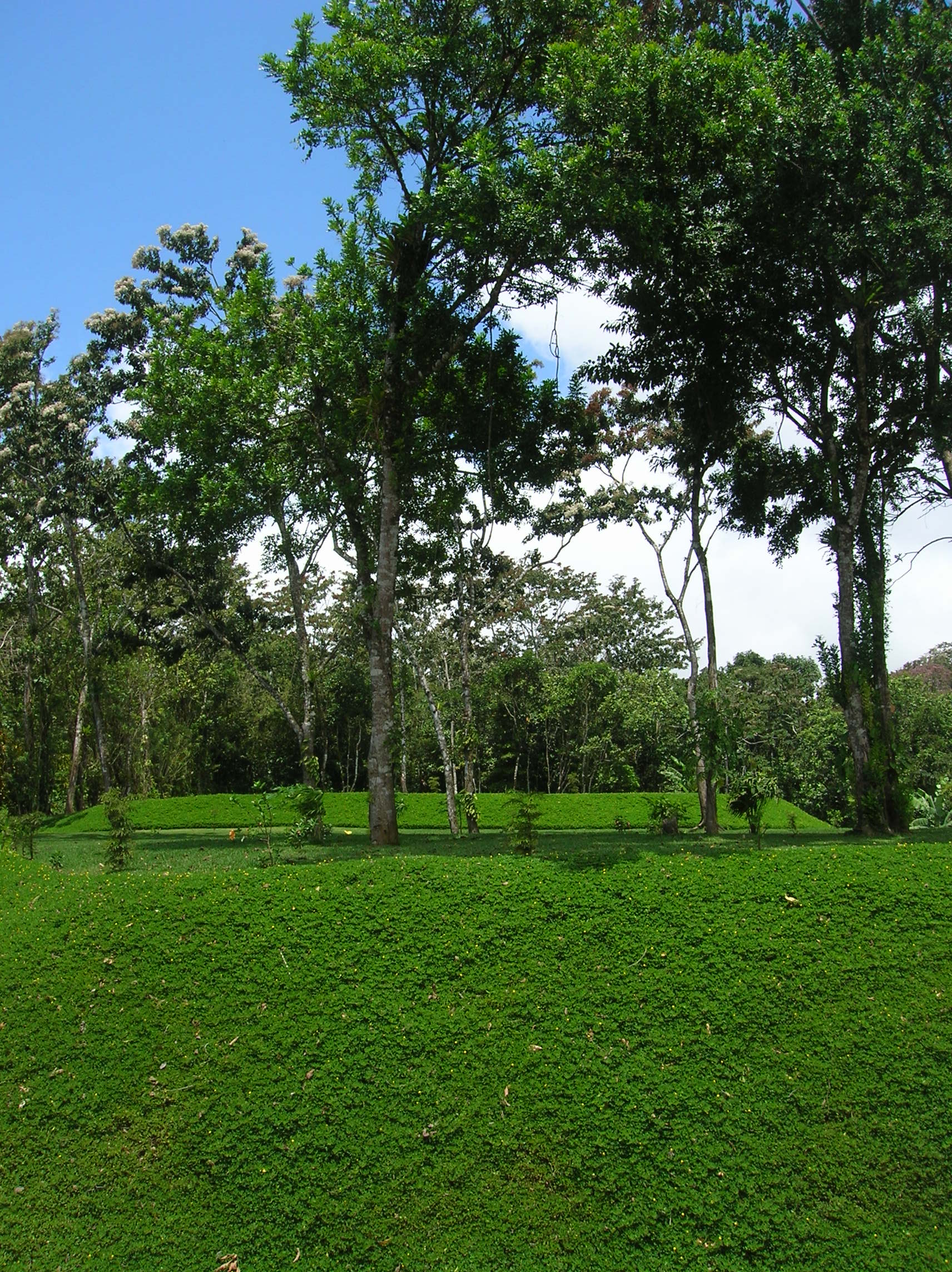 Prime Acreage directly on the Lake and Main Road In Nuevo Arenal