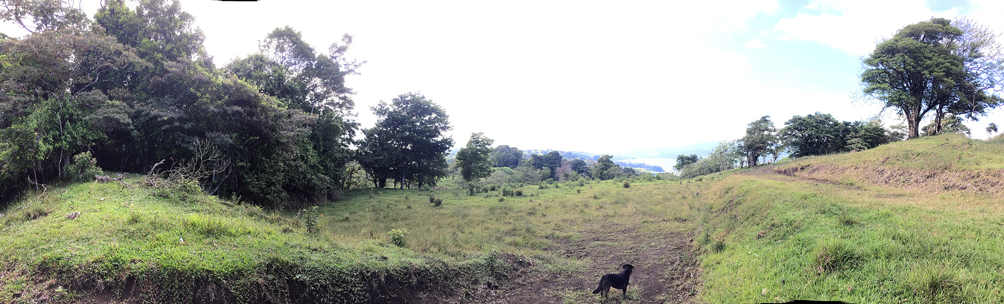 Beautiful, 5337 m2 Lake and Volcano View Lot in Gated Community in Nuevo Arenal