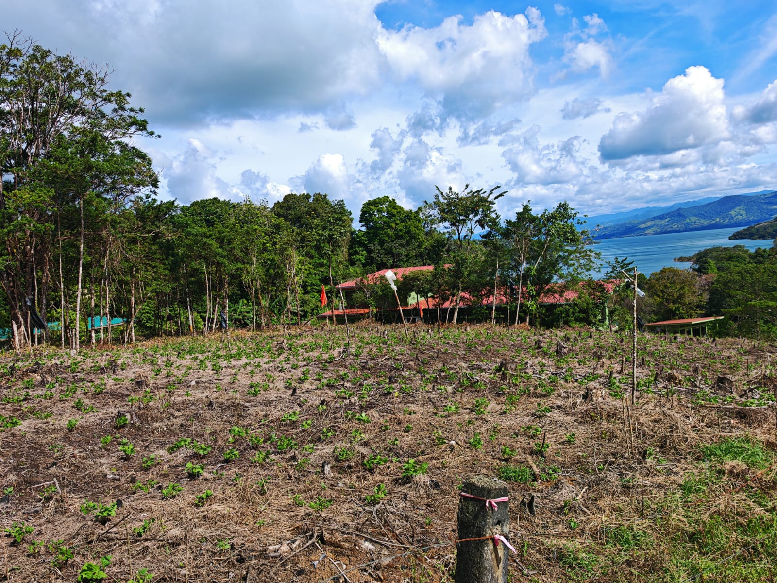 Prime 1,000 m² Lot with Stunning Lake & Mountain Views In Arenal 