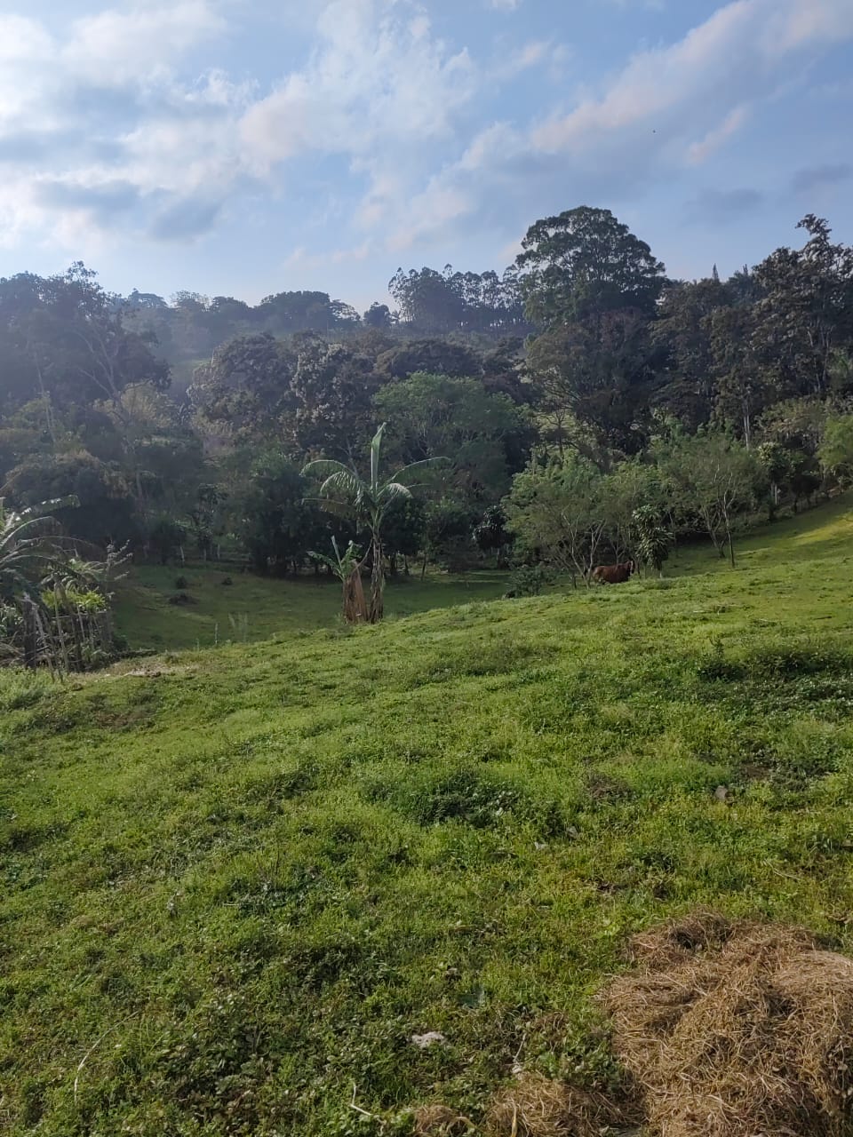 Charming Lot Of 1499 M2 (0.37 Acres) in Tronadora