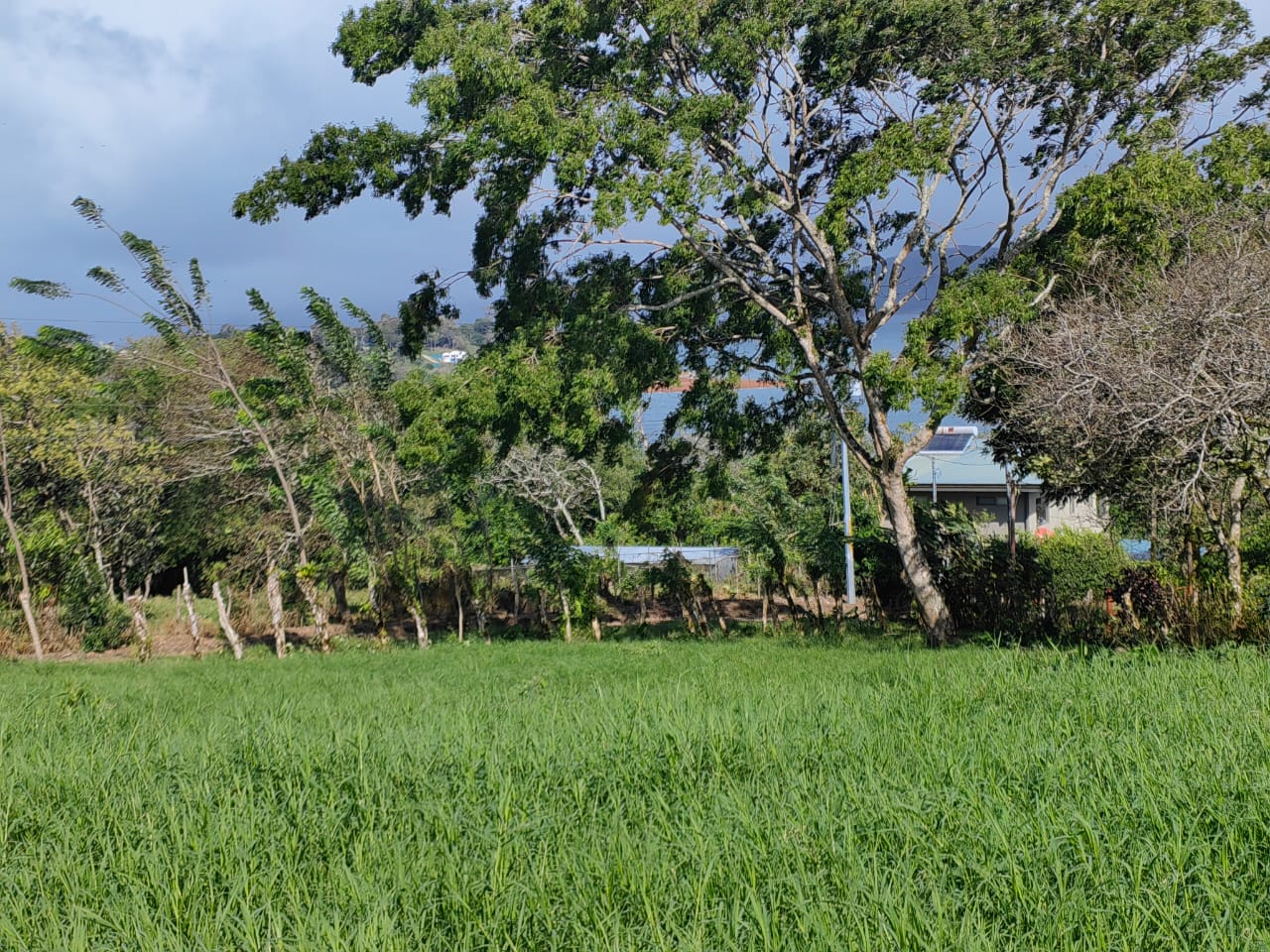 Lot w/ Stunning Views: 1,775 m2 Overlooking Lake Arenal & Tenorio Volcano