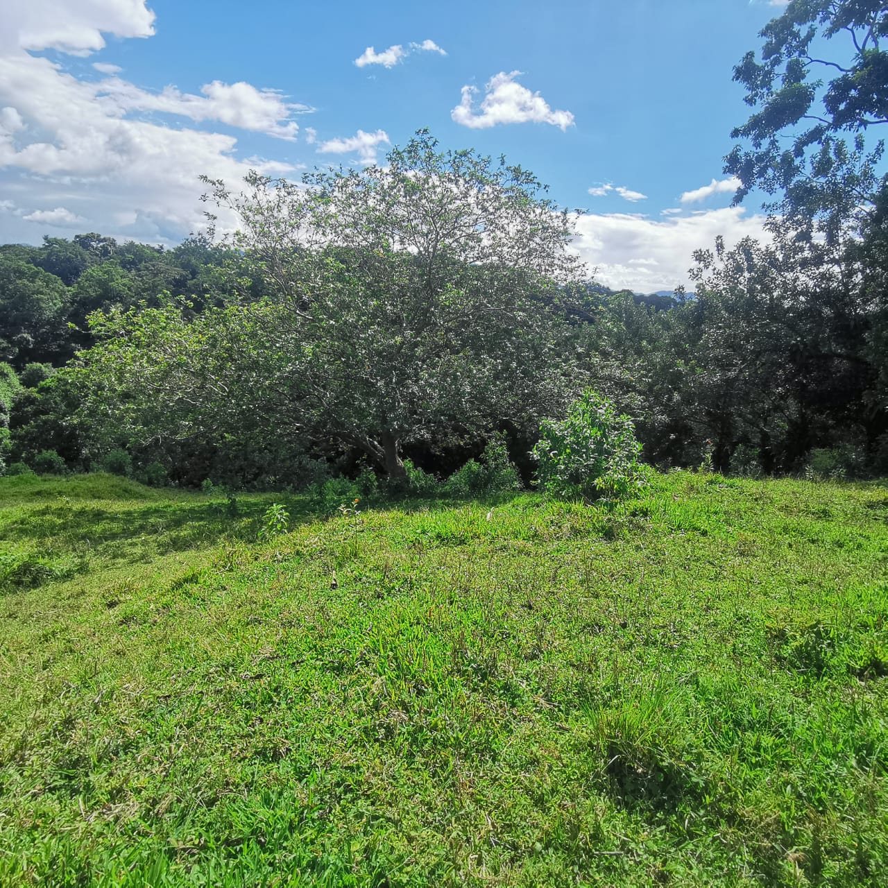 Exceptional 14,445 m² Lot in La Unión, Arenal – Views of Lake Arenal