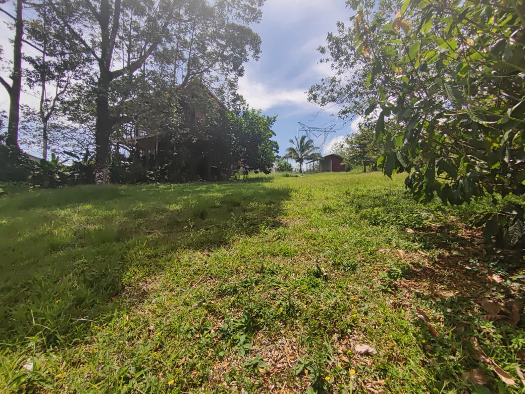 Lovely, 1322 m2 Lot (0,32 acre) in Cuidad Quesada, Alajuela