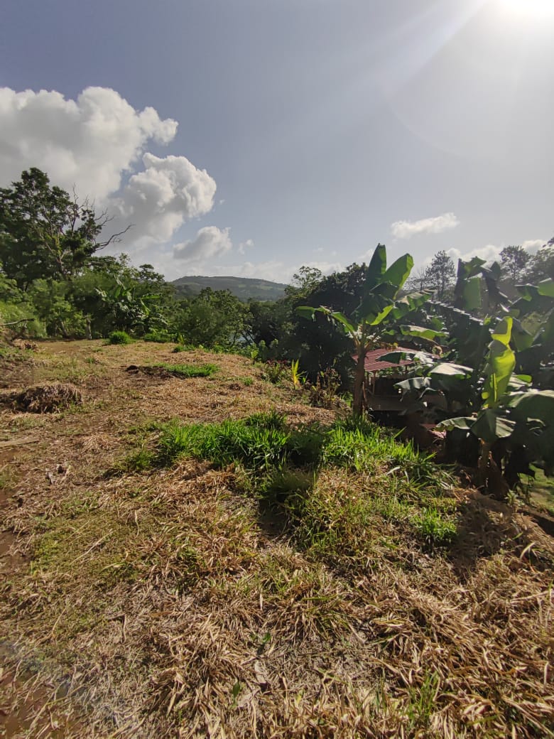 Lovely1,903 m3 (0.47 Acre) Near Lake Arenal in  Tronadora