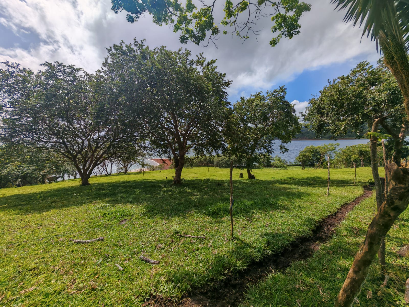 15,750 m² Lakefront Lot with Volcano Views, Fruit Trees & Direct Lake Access 
