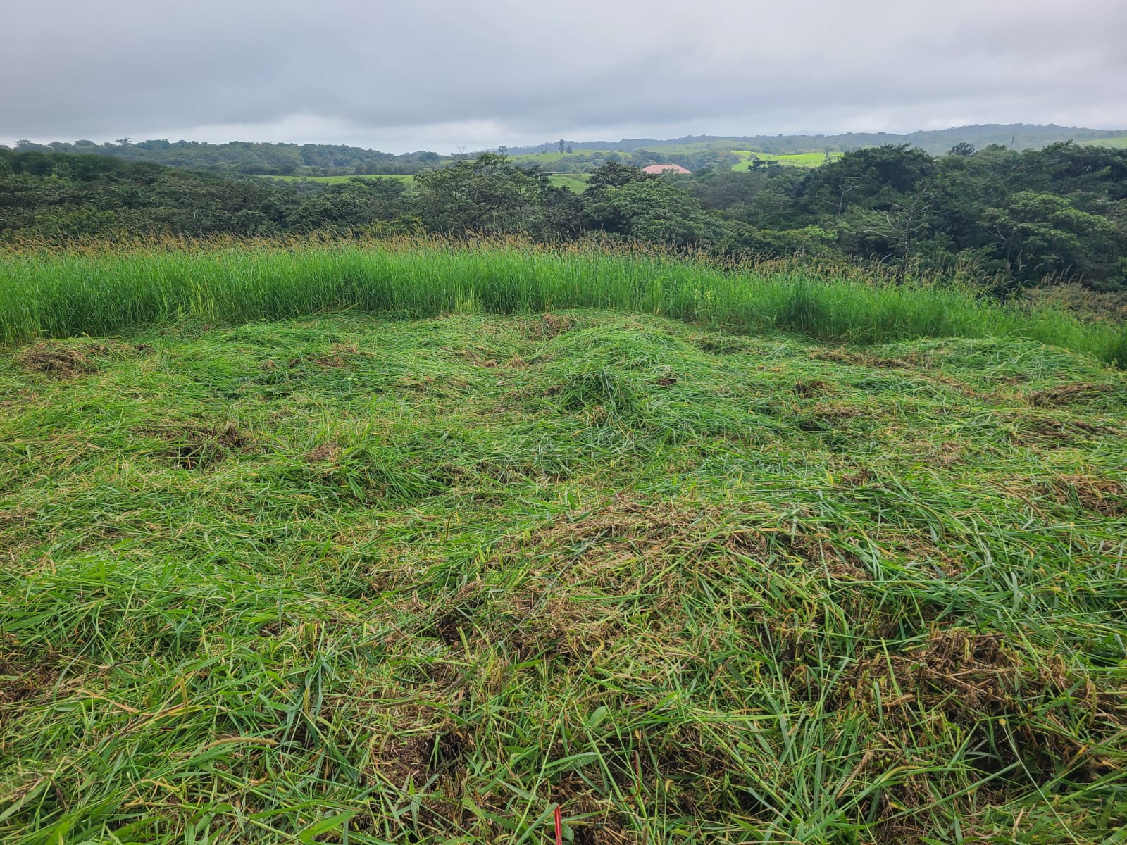 Stunning 12.59-Acre Lot with Volcano Views in Nuevo Arenal 