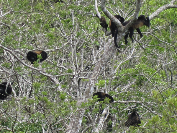 1,30 Acre+ Lake View Lot in Marina Community In Rio Piedras