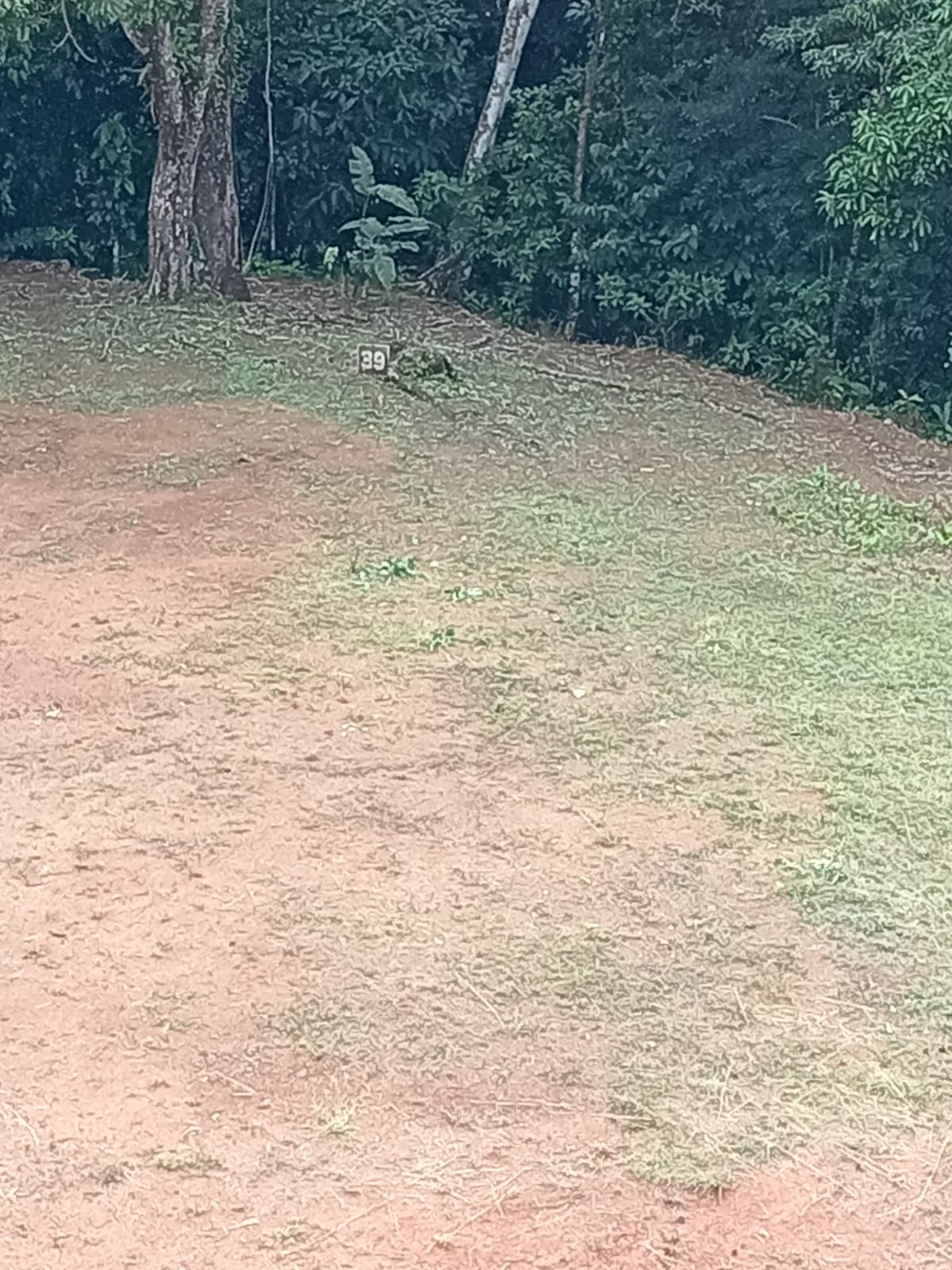 21.8 Hectare Development On Lake Cote, Guatuso, Alajuela