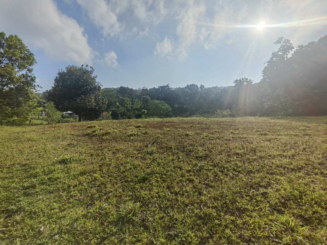 Beautiful Lot of 5461 m2 (1,34 Acre) in downtown Tronadora
