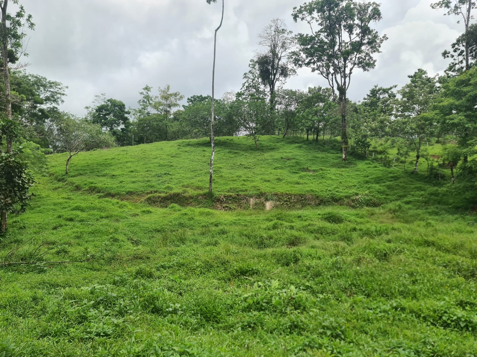 10,500 M2 (2.59 Acres) Lot with a Creek in Río Celeste