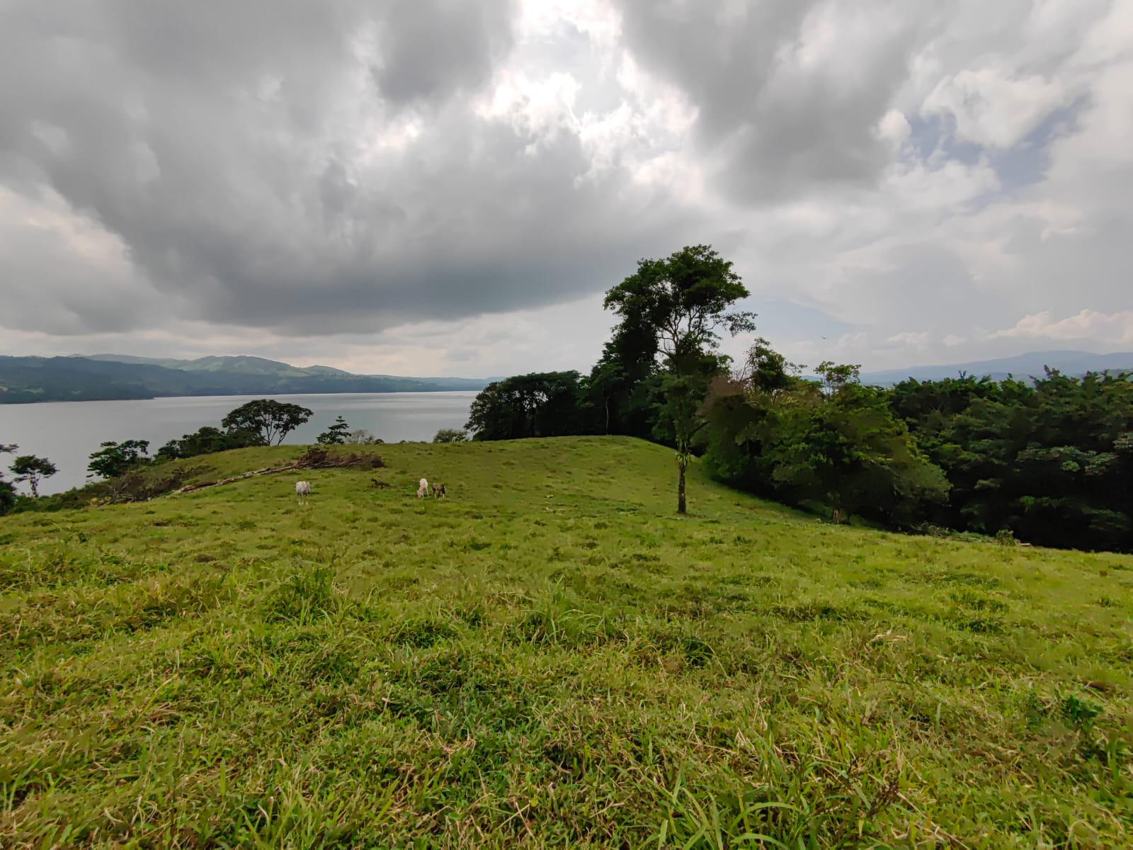 Finca La Tortuga – A Developer’s Dream! Lake Arenal View 5.7 Hectare Farm