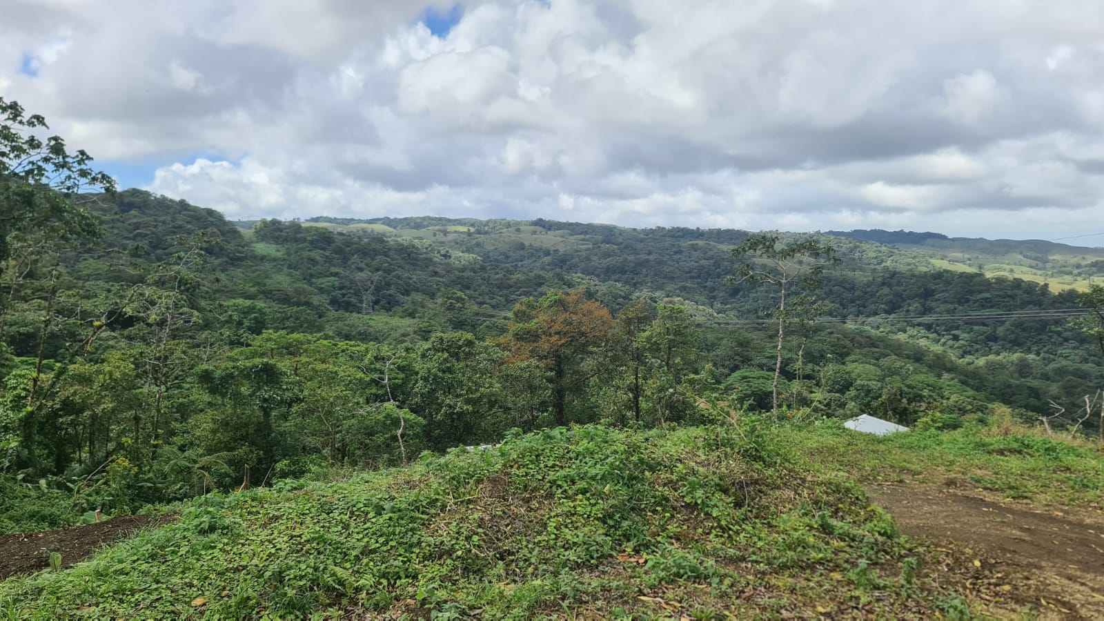 33 Hectare (81.5 acre) Property with Volcano Views in San Carlos, Alajuela