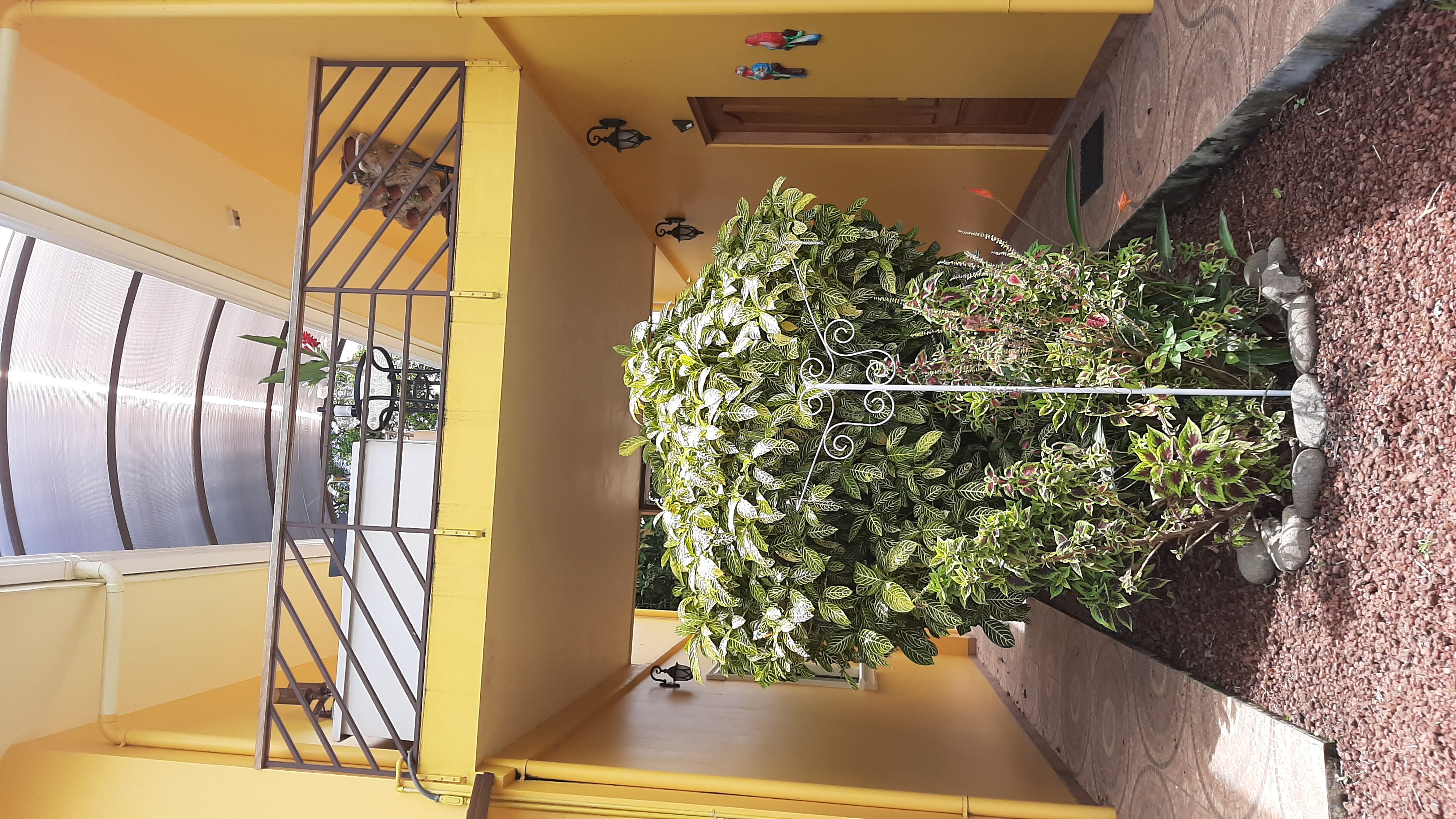 Income Property – Dual Houses with Stunning Lake and Mountain Views