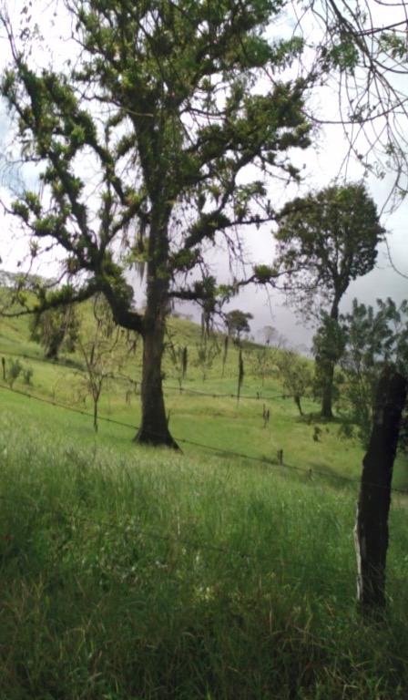 87.731 m2 Farm with Spectacular Lake and Volcano Views in Viejo Arenal