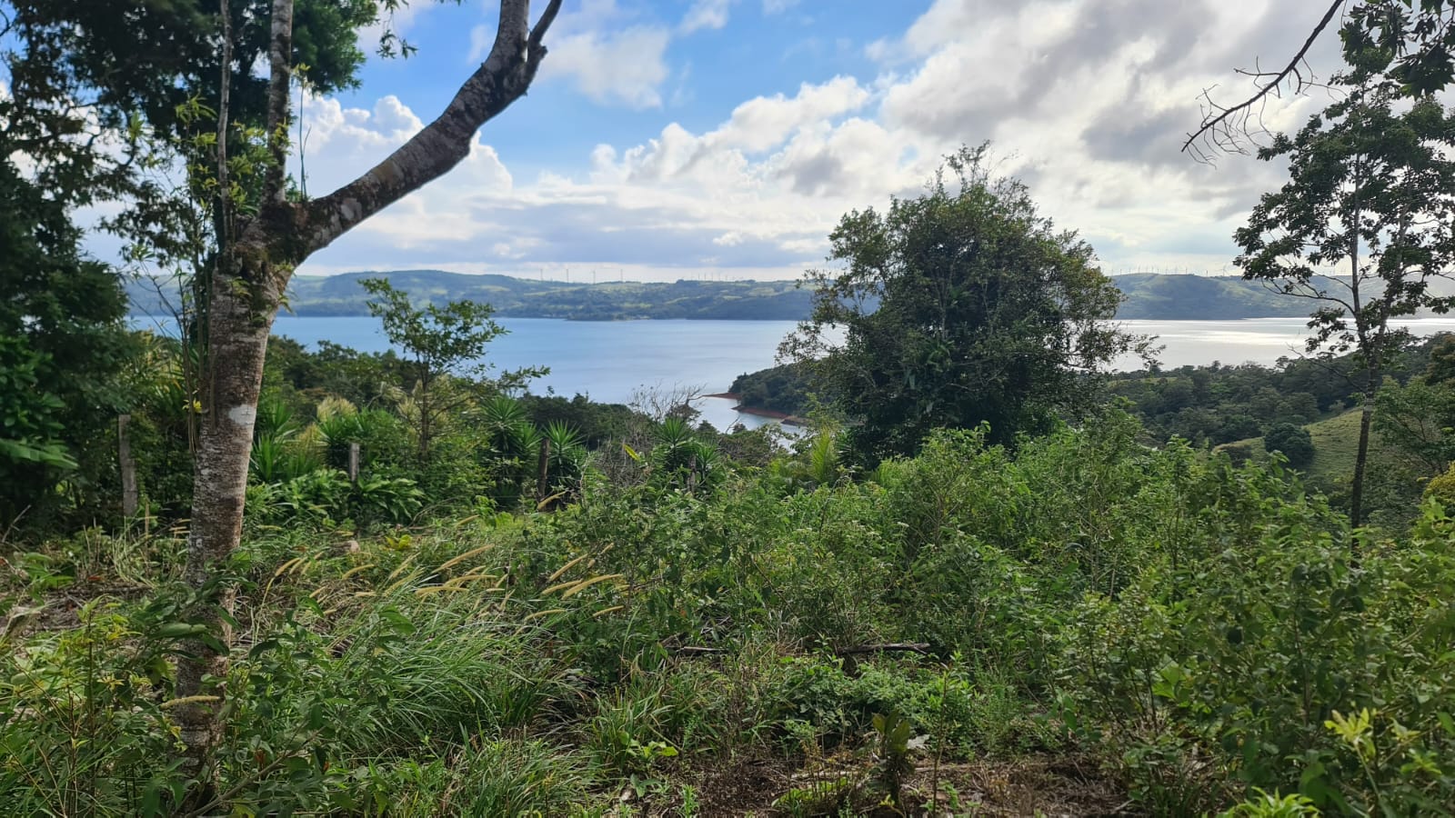 Gorgeous, 14053.22 M2, Lake View Property in El Aguacate, Tilarán