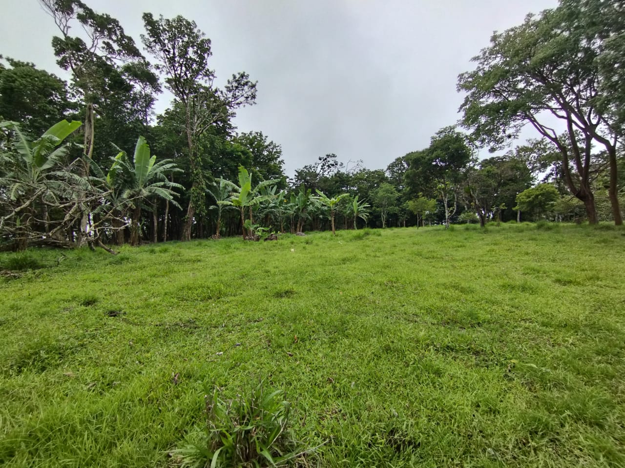 Expansive 30,229 m² (7.46 Acre) Lot w/ House & Scenic Views in Tierras Morenas