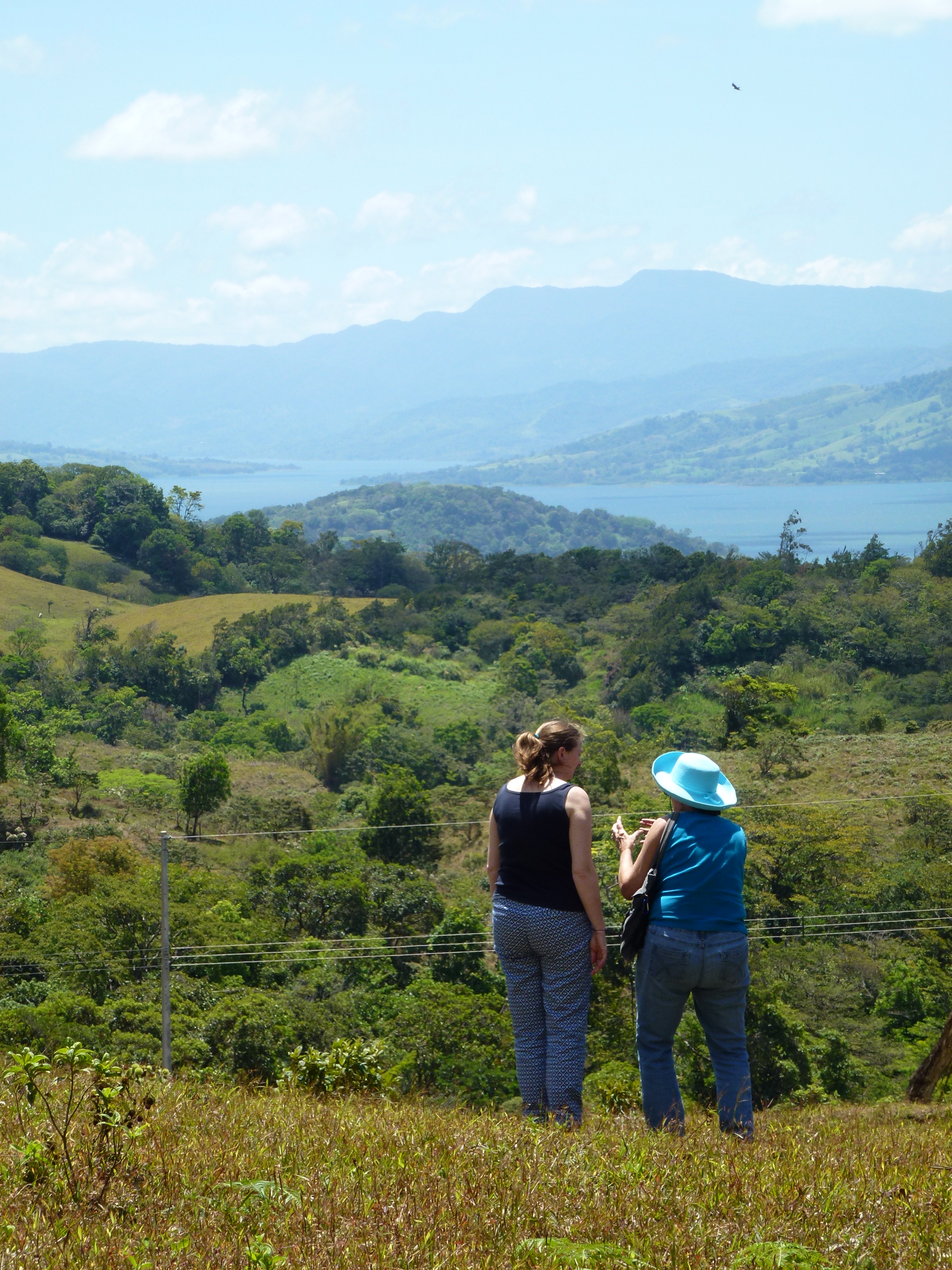 2.26 Acre Lot with Stunning Views Of Lake Arenal and Volcano in Nuevo Arenal 