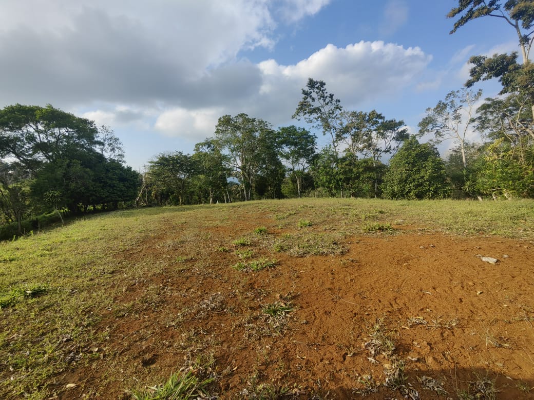 Beautiful Lot of 5461 m2 (1,34 Acre) in downtown Tronadora