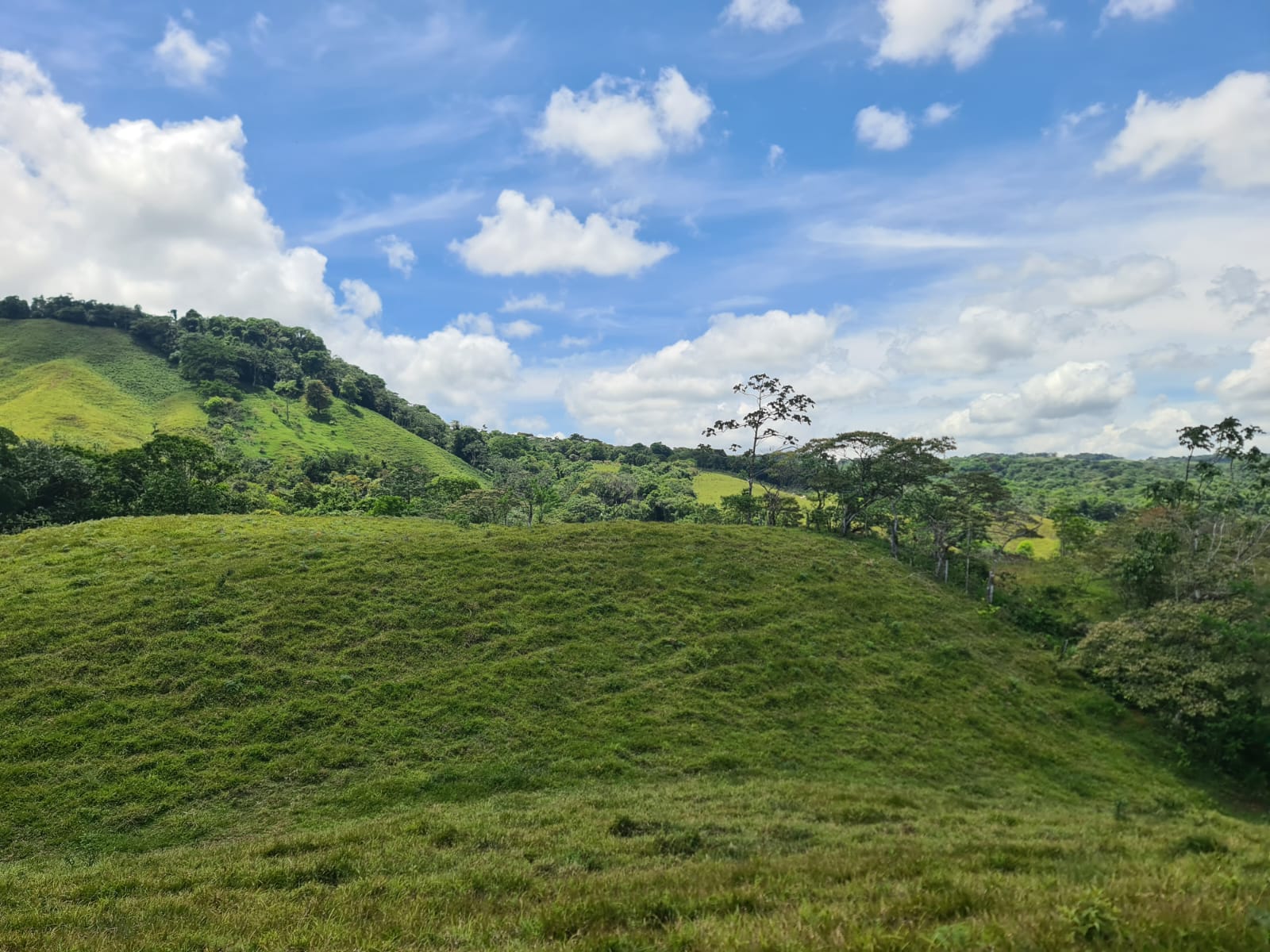Beautiful 7942 m2 (1,96 acre) Lot Lake View in Nuevo Arenal 