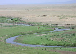 440px-Mongolian_steppe.jpg