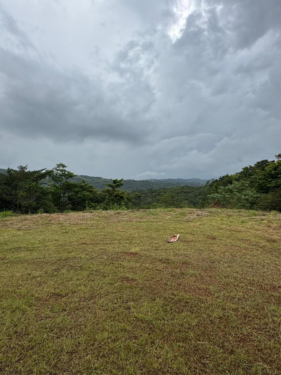 Expansive Lake-Access Property in Turtle Cove, El Aguacate