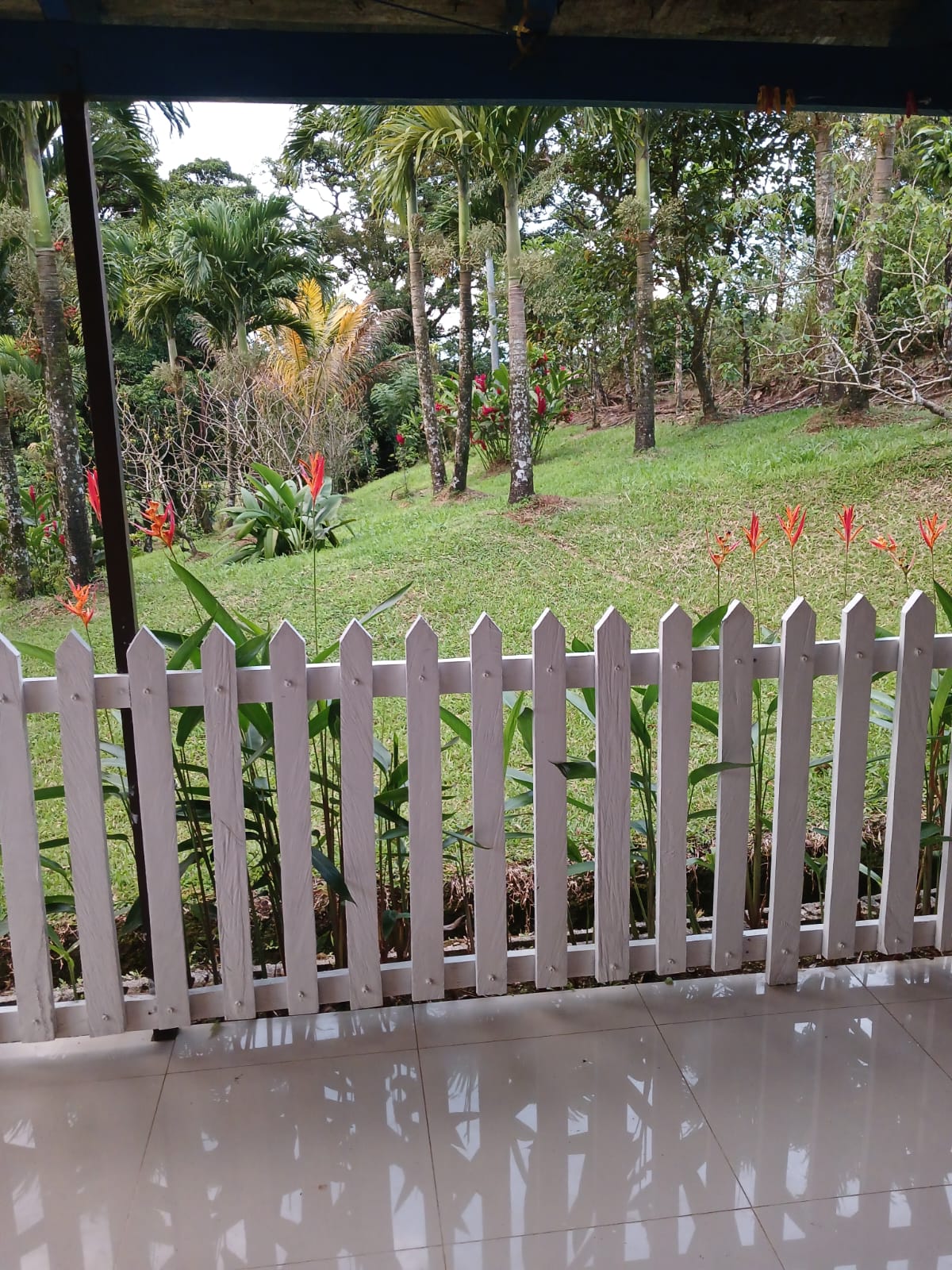 Cozy 1 Bedroom, 1 Bathroom house on a 1,110 m2 lot in Nuevo Arenal