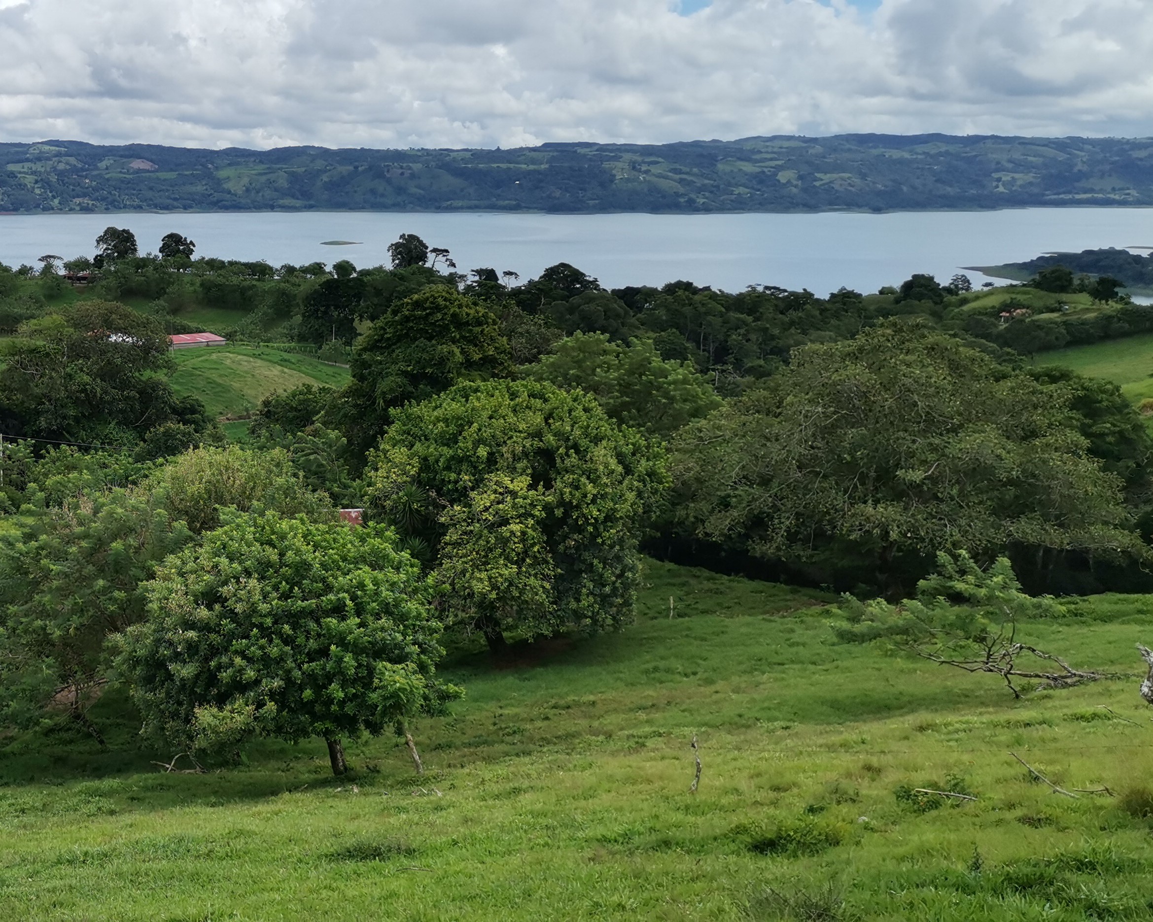 Magnificent 24,811m2 Lake and Volcano View Parcel with Huge Views in Tronadora