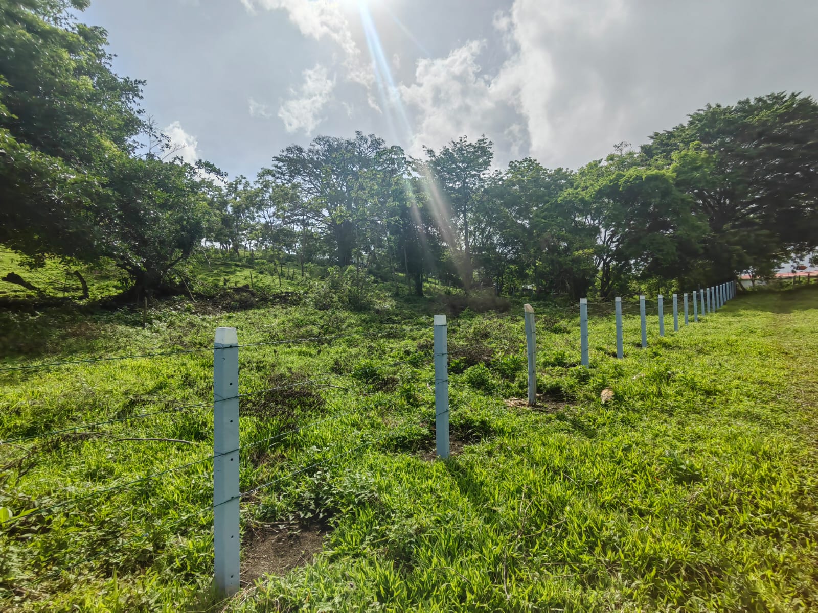 La Jolla Tronadora Prestige Homesites