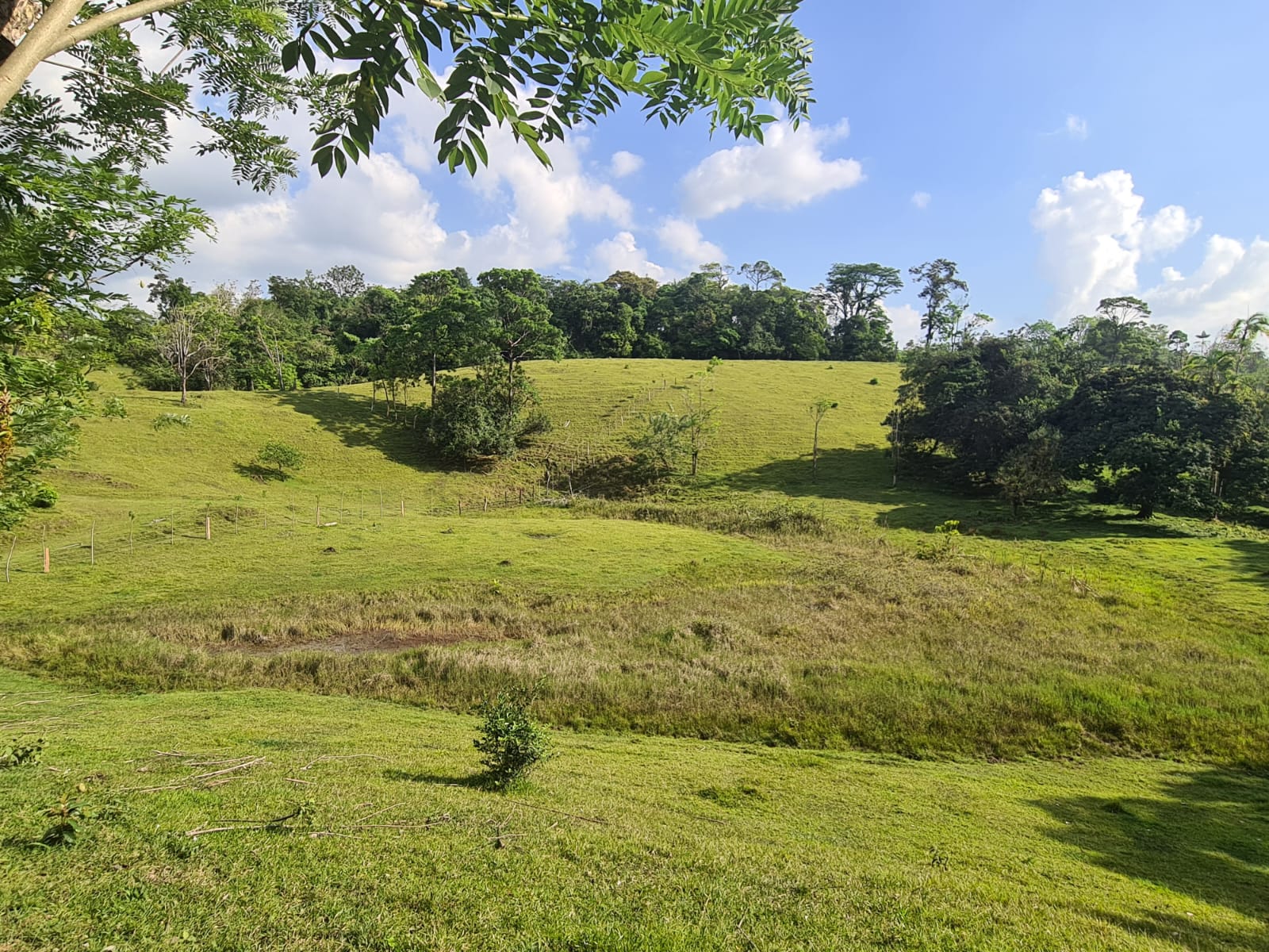 Gorgeous 50,372 m2 (12,4 acre) Farm In Cabanga, Guatuso