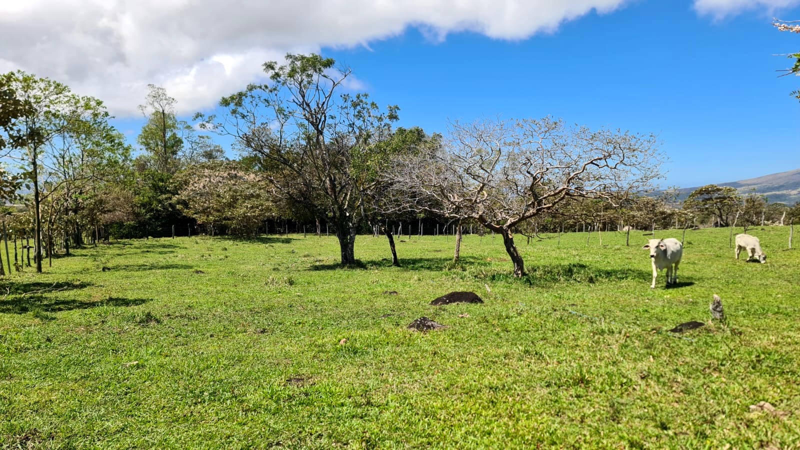 10,000 M2 (2.47 Acre) Lot with Volcano View in Nueva Guatemala