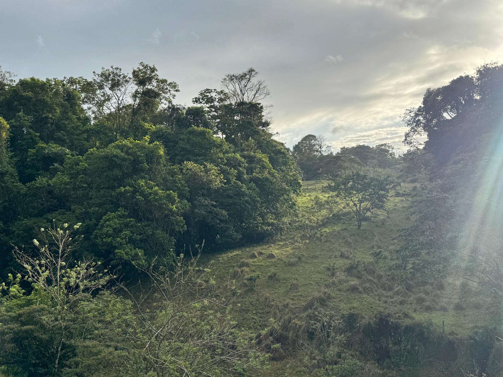 Expansive Self-Sufficient Farm Overlooking Lake Arenal in Nuevo Arenal