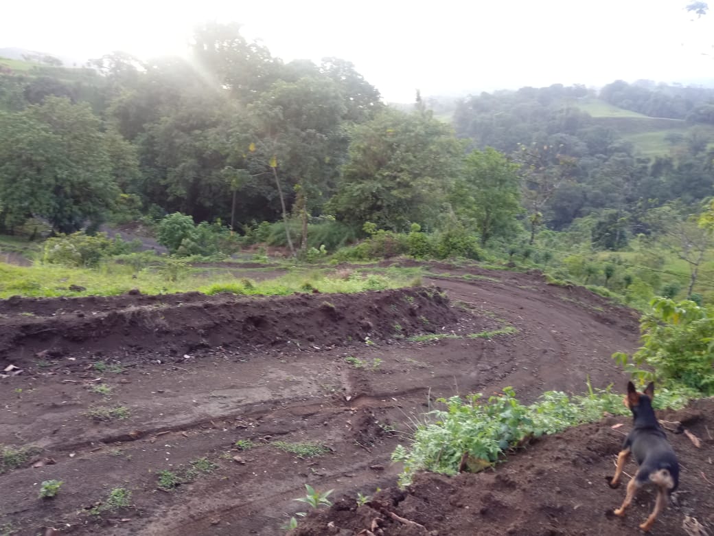 33,691 m² property with Amazing Views and Private Waterfall in La Union 