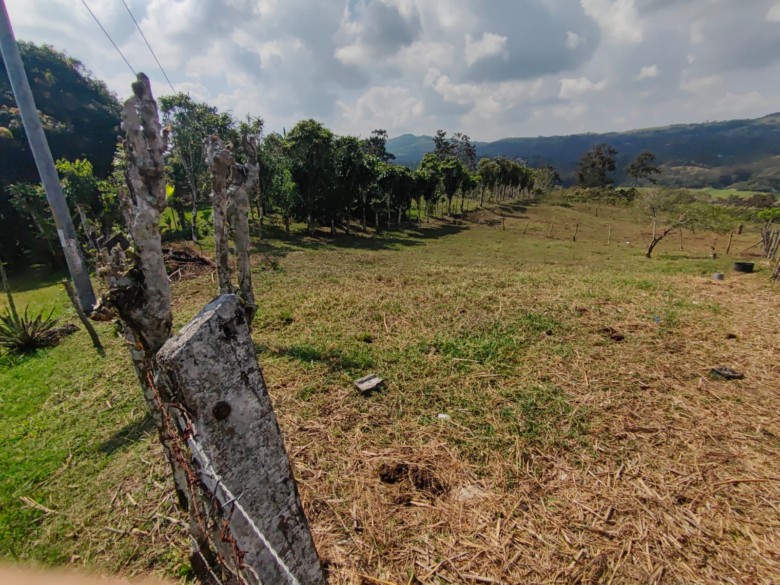 Lovely Lot of 750 m2 (0.18 Acre) with Lake Arenal View in Tronadora