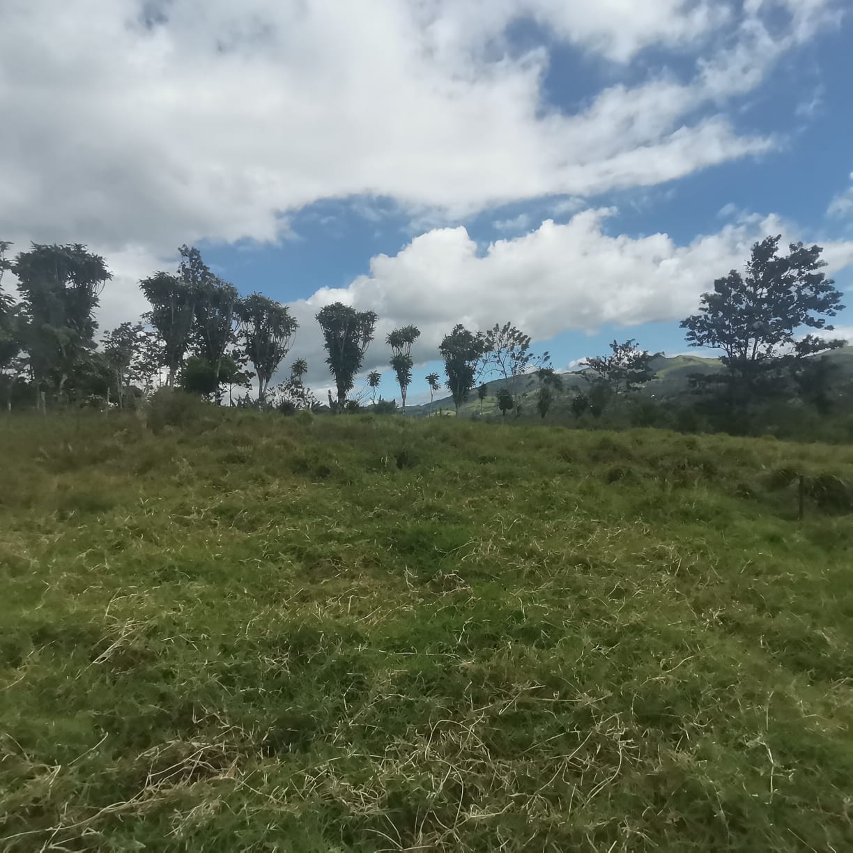 Spectacular, 5000m2, Lake View, LAKE ACCESS Lot in Tronadora! 