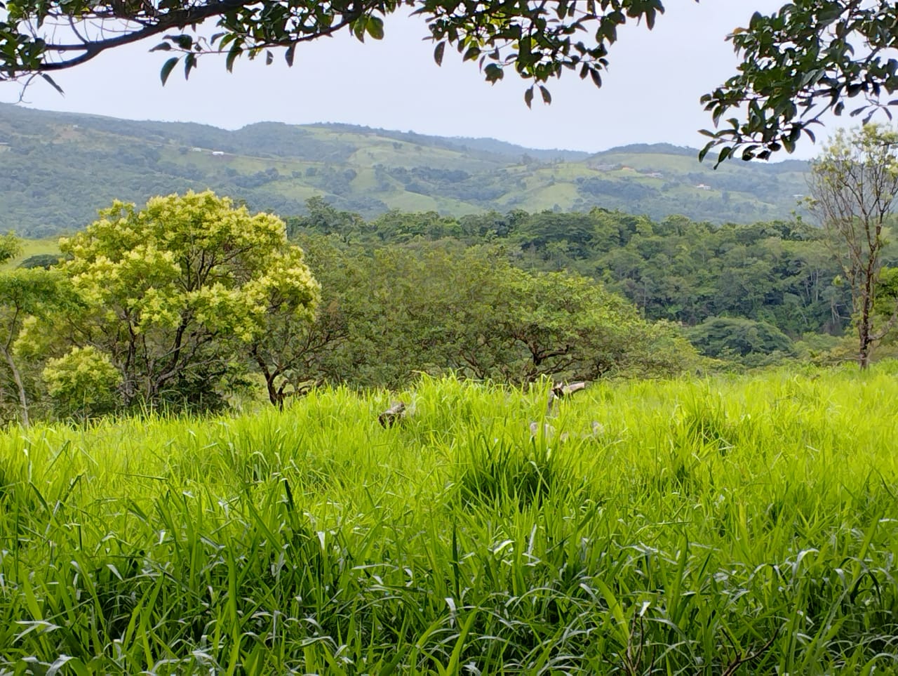 Expansive 30,229 m² (7.46 Acre) Lot w/ House & Scenic Views in Tierras Morenas
