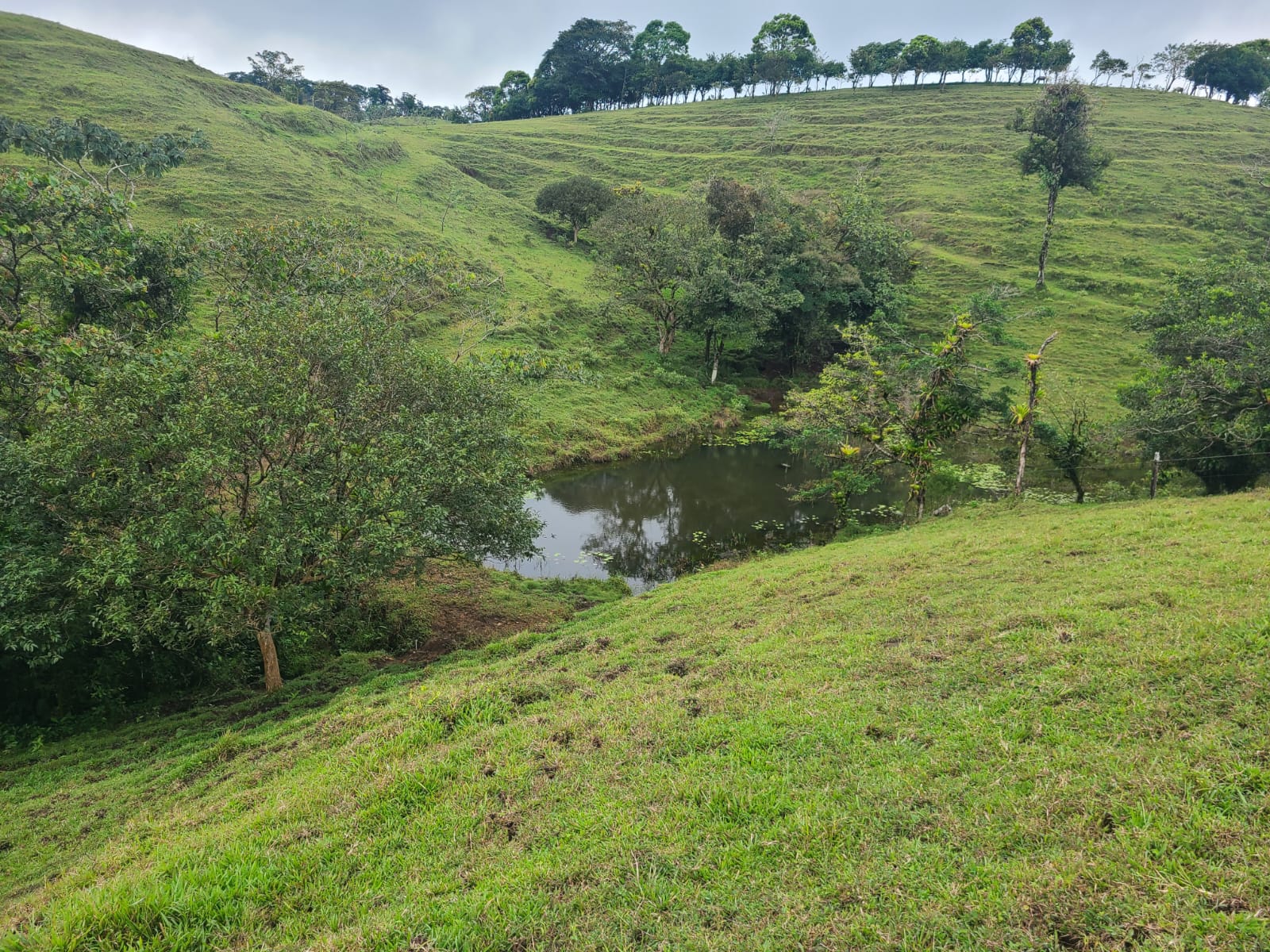 Spectacular 105-Hectare Lot with Lakes, Mountain Views, & Natural Resources 