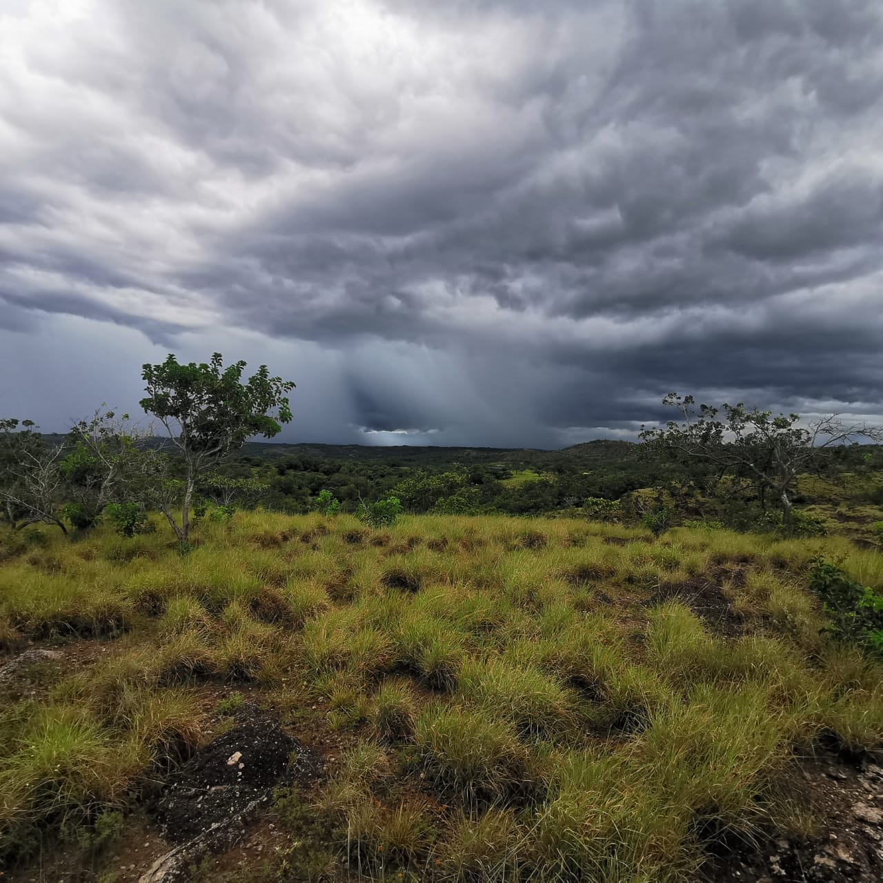 Private 26,000 m² Lot w/ Panoramic Views & Natural Water Source in Bagaces