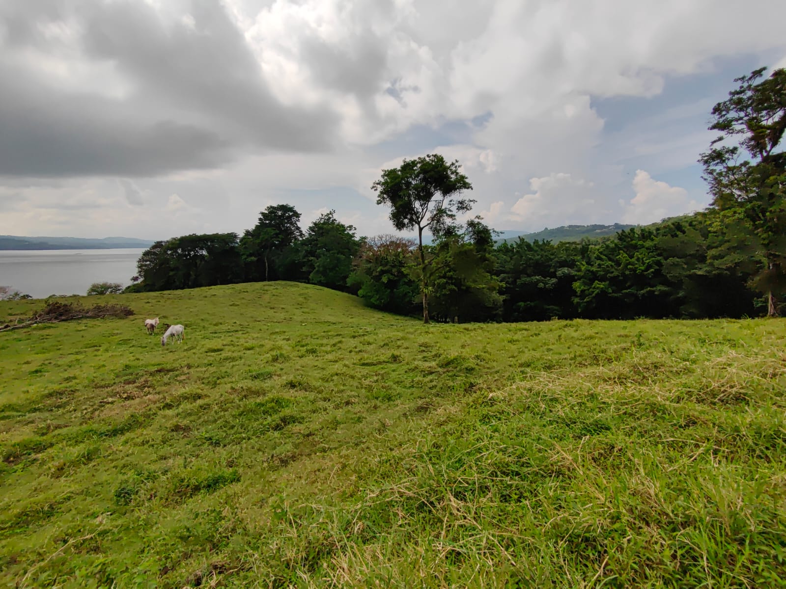 Finca La Tortuga – A Developer’s Dream! Lake Arenal View 5.7 Hectare Farm