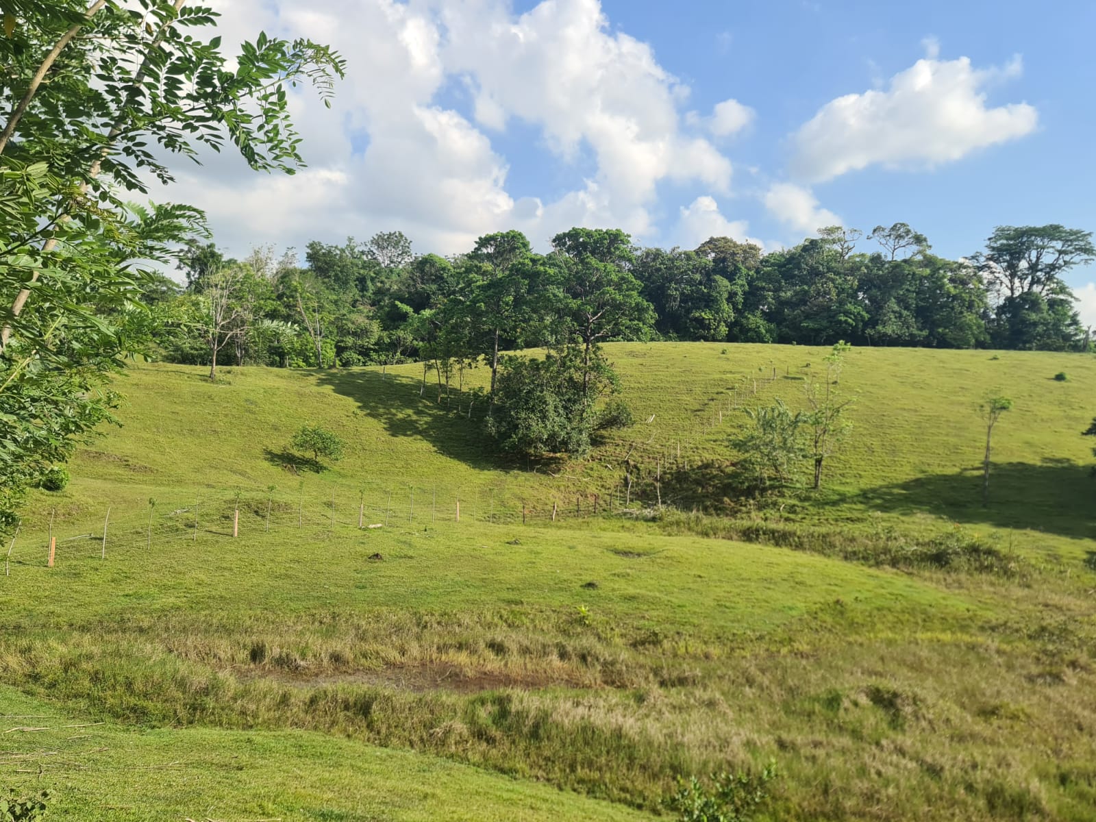 Gorgeous 50,372 m2 (12,4 acre) Farm In Cabanga, Guatuso