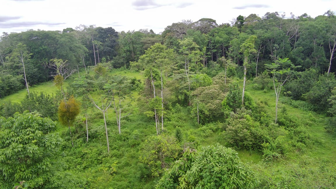 7.1-Hectare Lot w/ Private Well & Development Potential in Upala